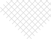 vectorImg